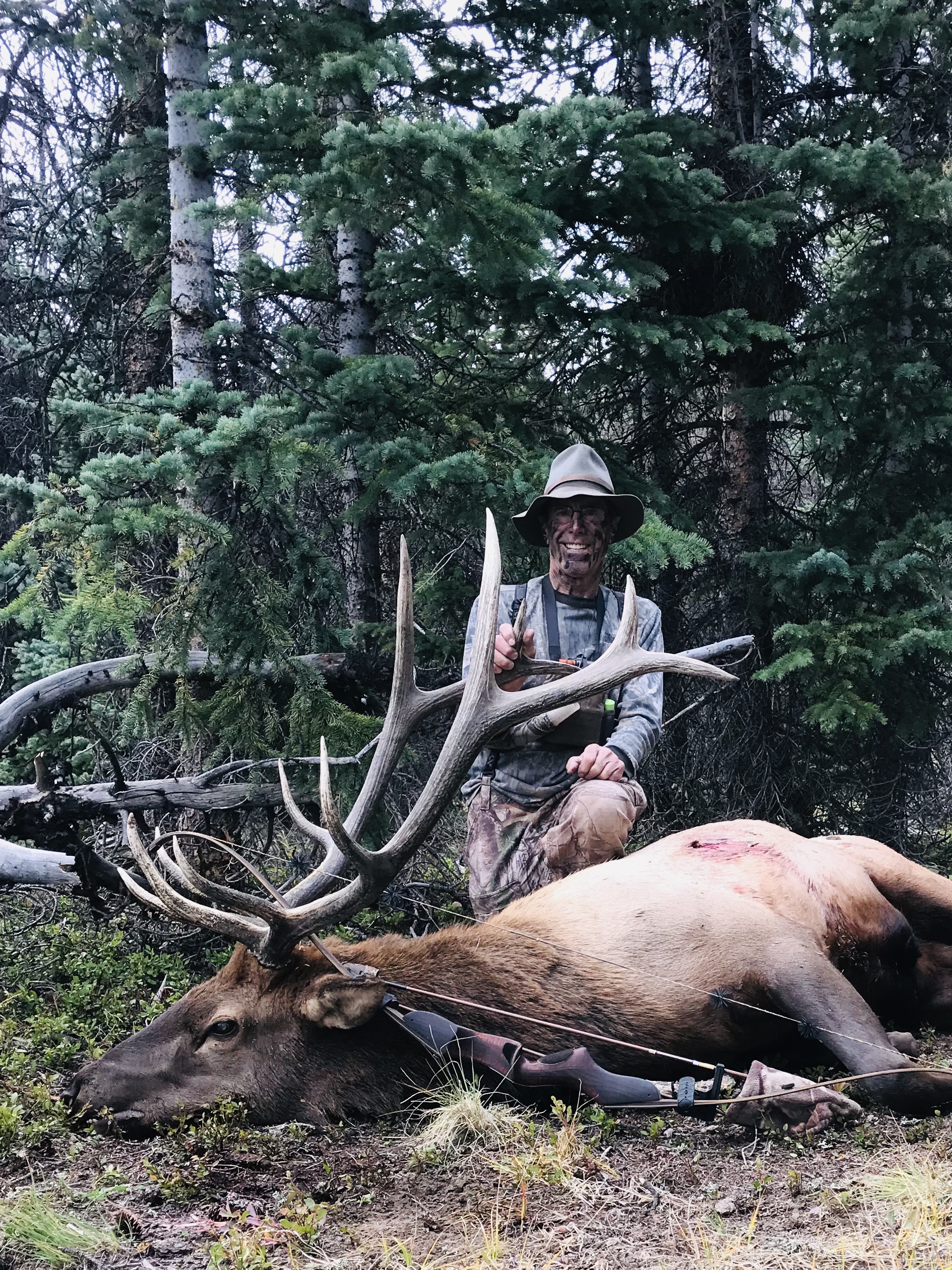 Scott Hargrove - Elk Bull - Colorado