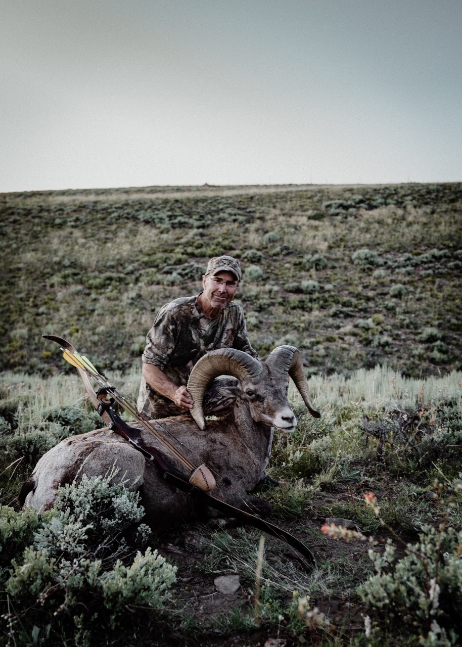 Scott Hargrove - Colorado - Bighorn