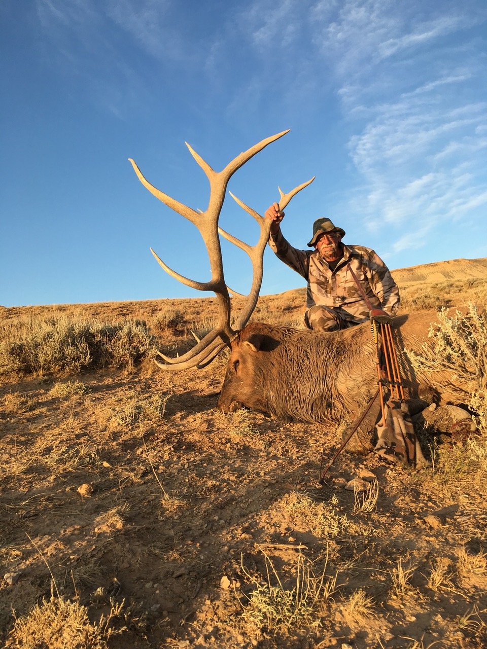 Jim Brooks - Wyoming - Elk