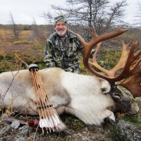 Jim Willems - Newfoundland - Woodland Caribou