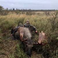David Hoff - Alaska - Moose