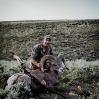 Scott Hargrove - Colorado - Bighorn