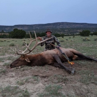 Bull Vanbuskirk - Elk - New Mexico