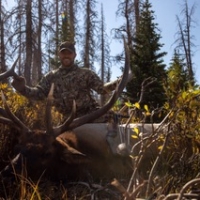 Scott White - Elk Bull - Colorado