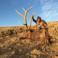 Jim Brooks - Wyoming - Elk
