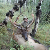 Jim Brooks 2008 Elk
