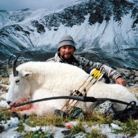 Troy Cunningham Colorado Mountain Goat