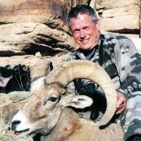 Wayne Depperschmidt Colorado Desert Bighorn 2003