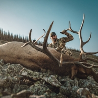 Nick White 2018 Colorado elk