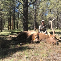 Scott Hargrove 2018 Arizona elk